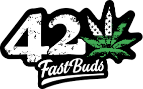 42 Fast Buds